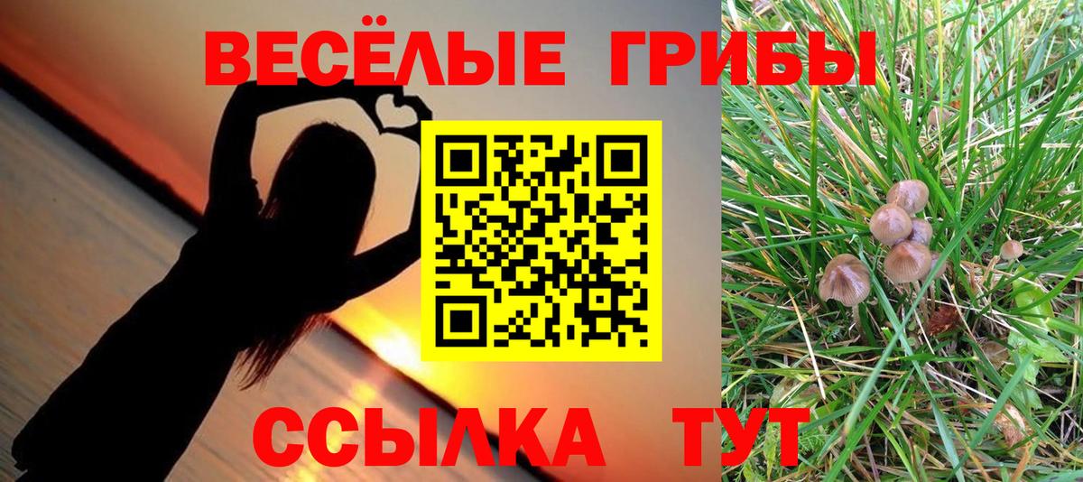 Отрадный  Псилоцибиновые грибы Psilocybe  Вход с VPN 