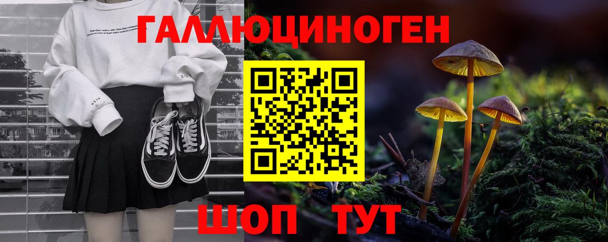 Галлюциногенные грибы GOLDEN TEACHER Отрадный